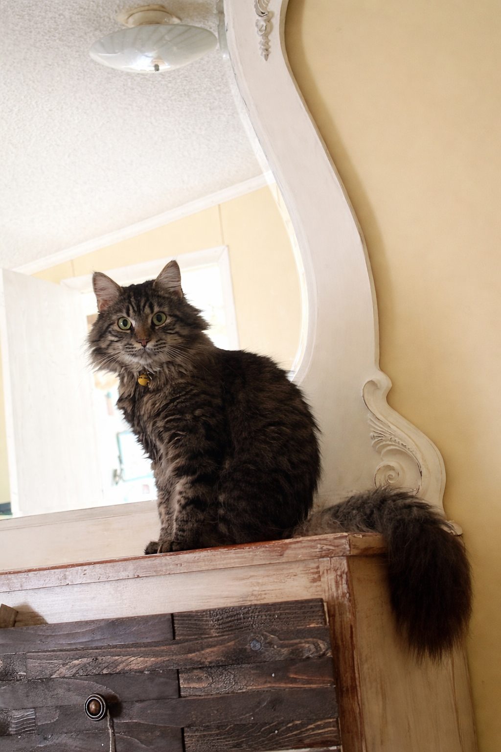 E4BF708B-6010-47A6-8BDE-2DAA0CF7BB59